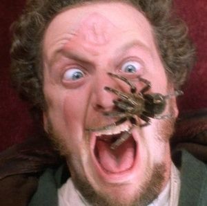 Meet your Posher, Rene